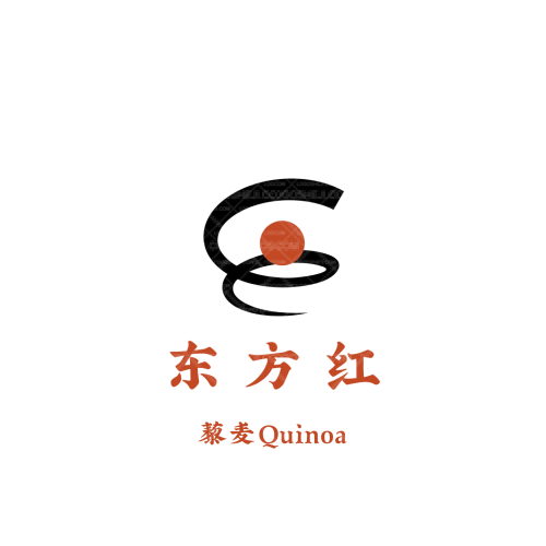 楊老四logo設(shè)計(jì)