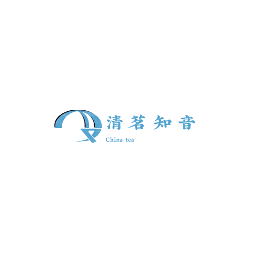 DG TopStorlogo設計