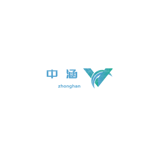 小龍鞋業(yè)logo設(shè)計