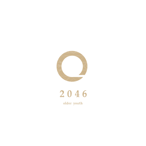 極圓logo設(shè)計(jì)