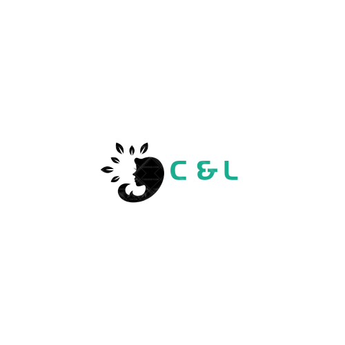 大貓星空l(shuí)ogo設(shè)計(jì)